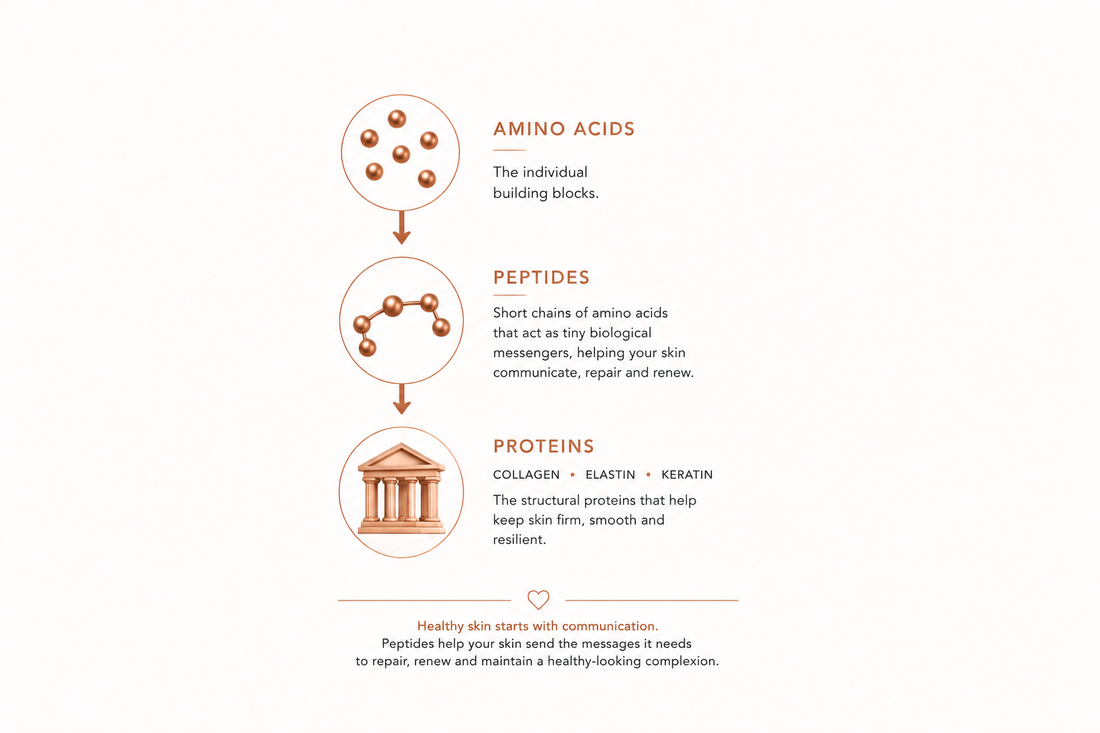What Are Peptides? - What They Are and Why Your Skin Loves Them