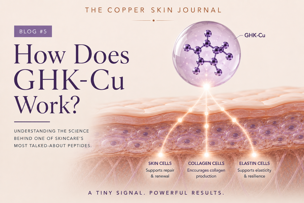 Illustrated diagram showing how GHK-Cu copper peptide acts as a signalling molecule in skin cell communication and repair