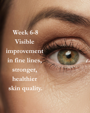GHK-Cu Multi Peptide Renewal Serum